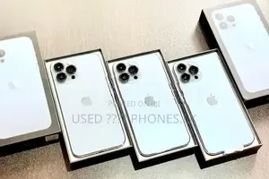 Apple iPhone 13 Pro Max 256GB (Used)