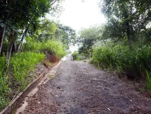 Prime Land for Sale in Angunawala - Kandy