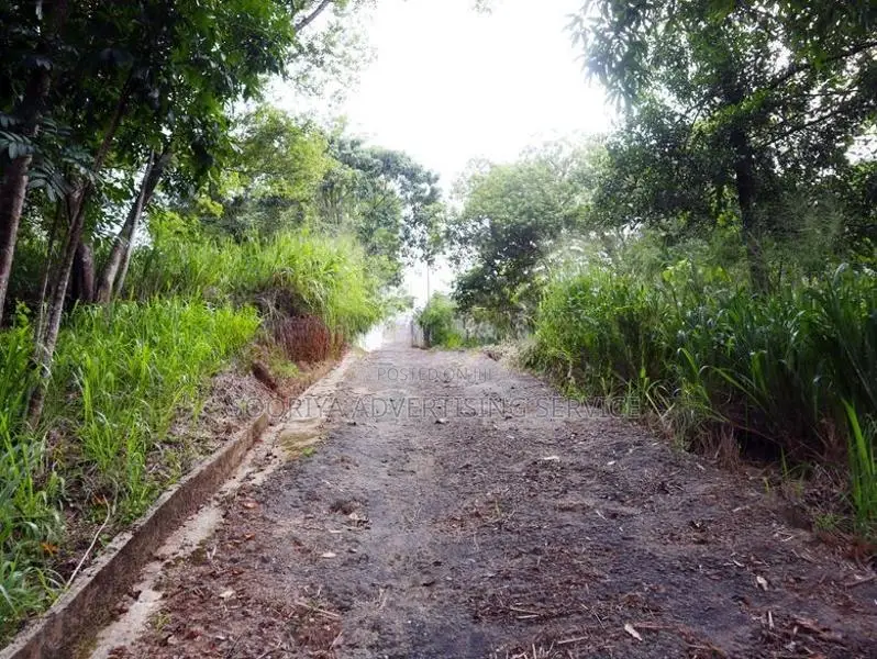 Prime Land for Sale in Angunawala - Kandy