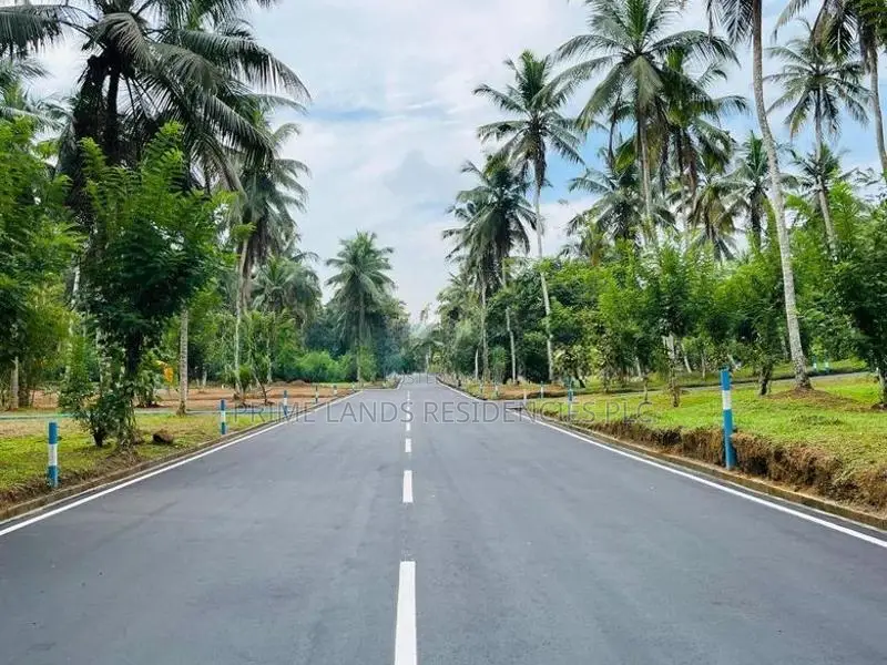 Valuable Land for Sale in Homagama