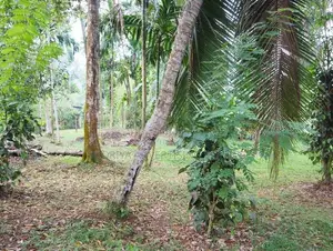 Avissawella Land for Sale in Kosgama