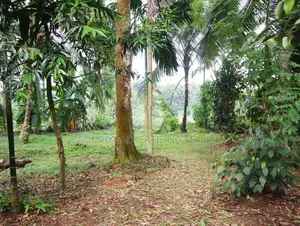 Avissawella Land for Sale in Kosgama