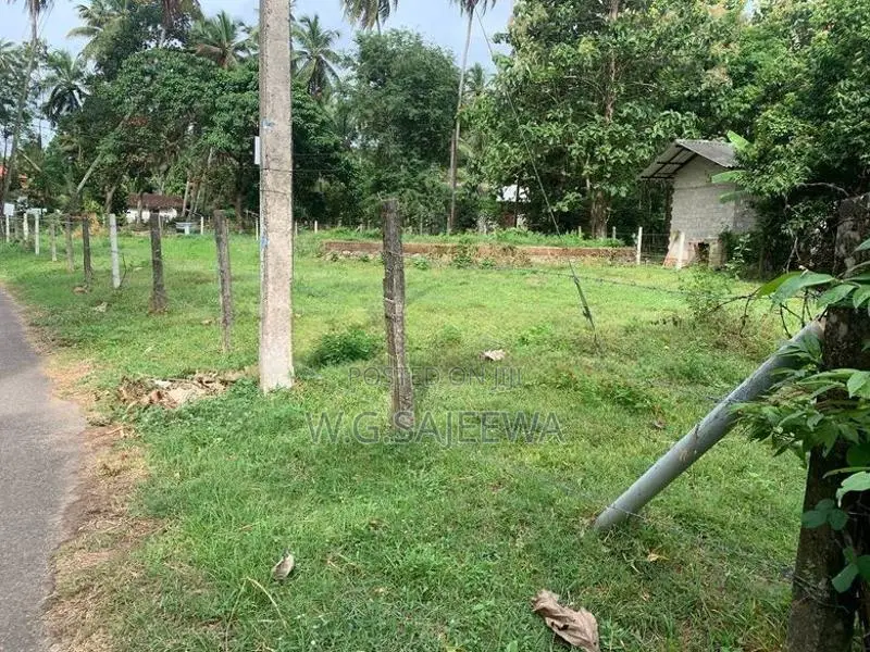 Land for Sale in Negombo - 24.9 Perch