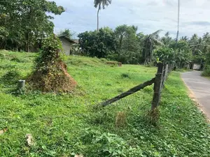 Land for Sale in Negombo - 24.9 Perch