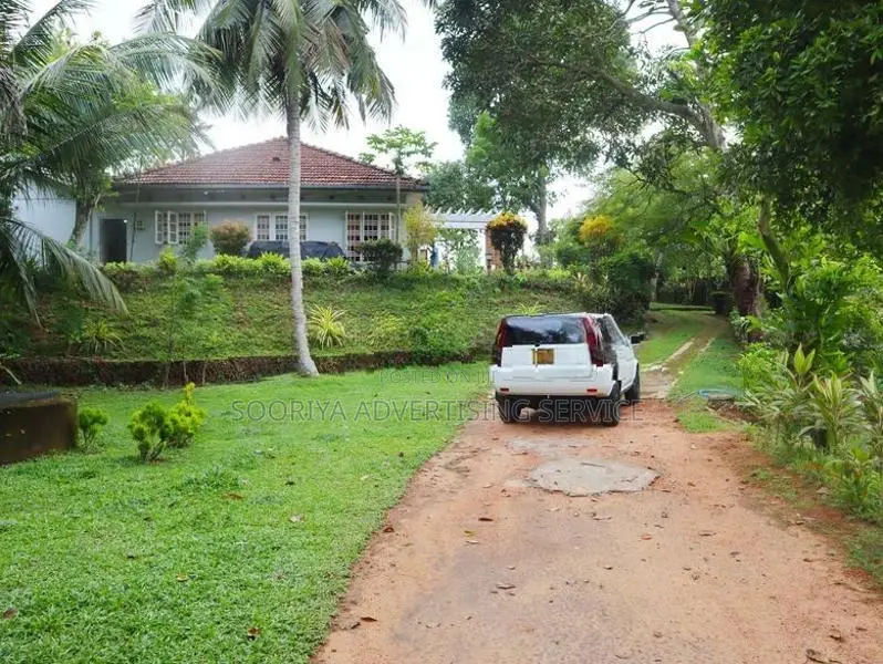 House and Cultivated Land for Sale in Ambalangoda