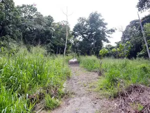 Prime Land for Sale in Angunawala - Kandy