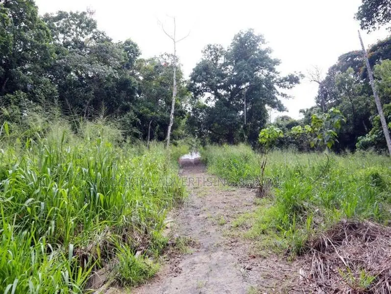 Prime Land for Sale in Angunawala - Kandy