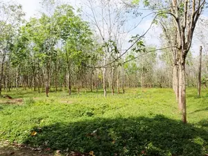 Peaceful Residential House in Bandaragama