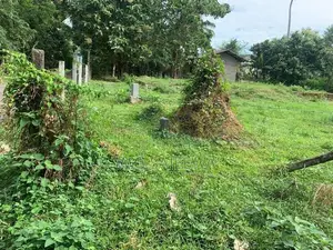 Land for Sale in Negombo - 24.9 Perch