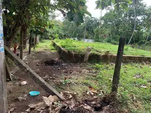 Land for Sale in Negombo - 24.9 Perch
