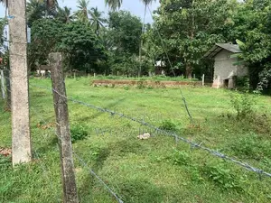 Land for Sale in Negombo - 24.9 Perch