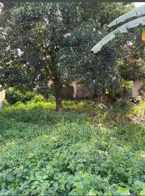 Land for Sale Nugegoda
