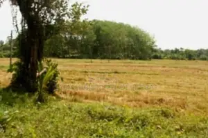 Horana Yala Godella Land for Sale