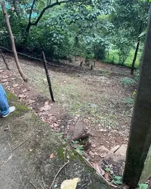 Land For Sale (3958) Kandy