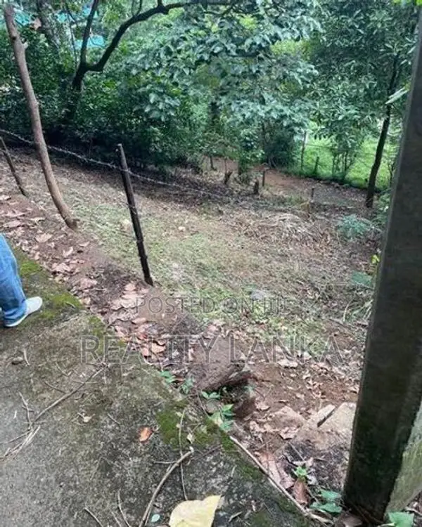 Land For Sale (3958) Kandy
