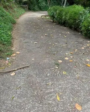 Land For Sale (3958) Kandy
