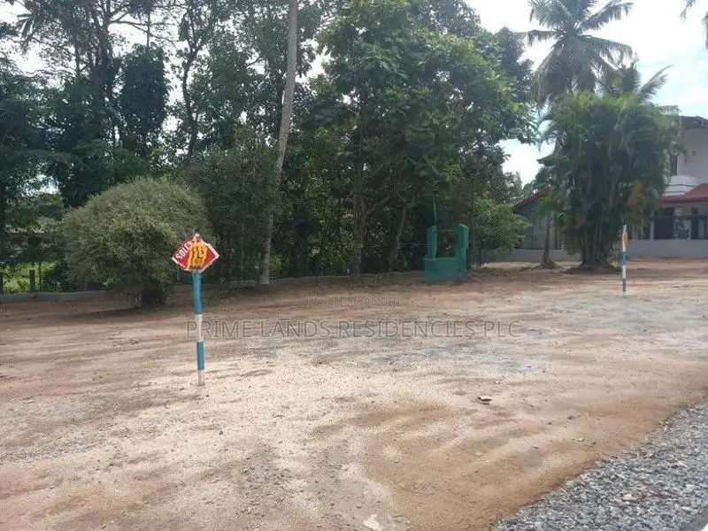 Valuable Lands for sale in Homagama hospital road