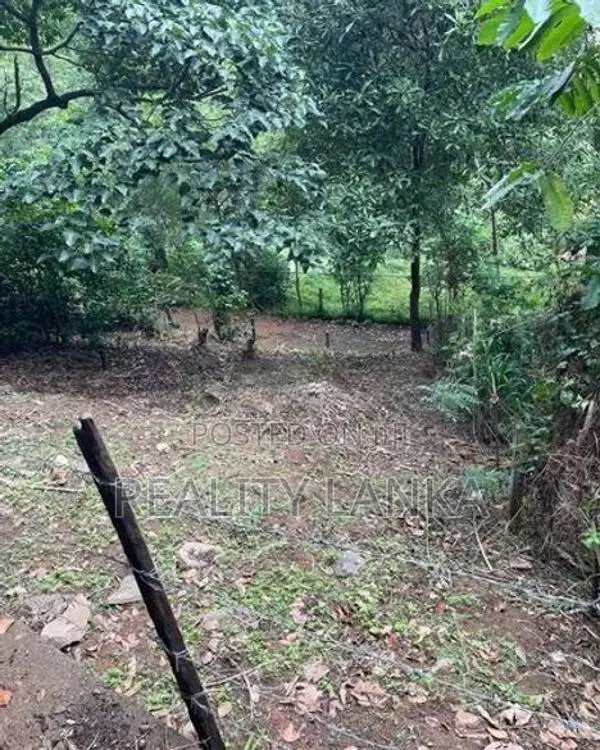 Land For Sale (3958) Kandy