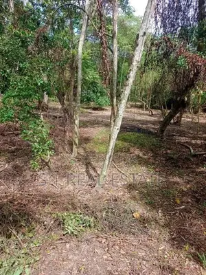31.55P Bare Land For Sale In Tangalle