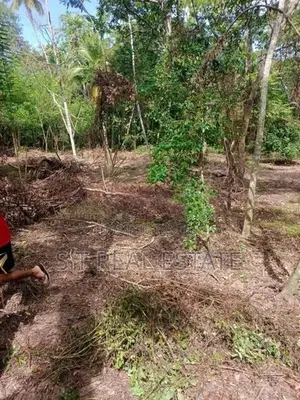 31.55P Bare Land For Sale In Tangalle