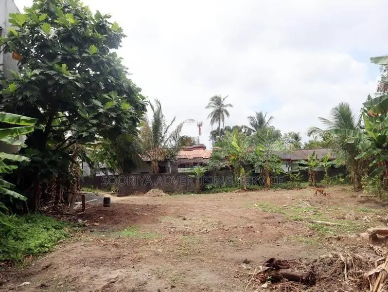 Bokundara Land for Sale in Thumbovila road