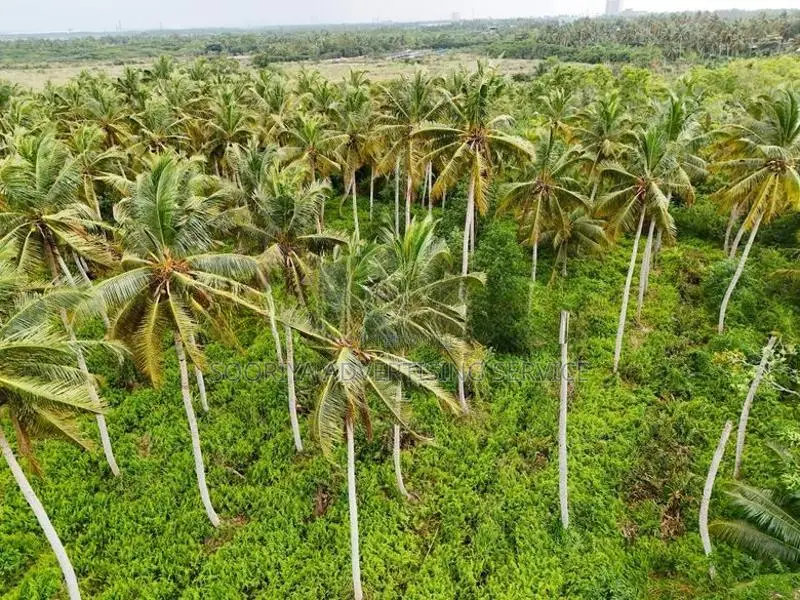 Agricultural Land for Sale in Bopitiya