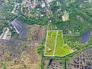 Agricultural Land for Sale in Bopitiya