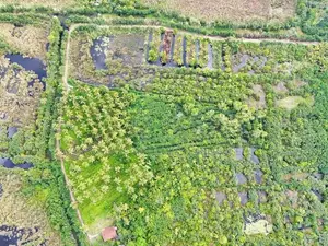 Agricultural Land for Sale in Bopitiya