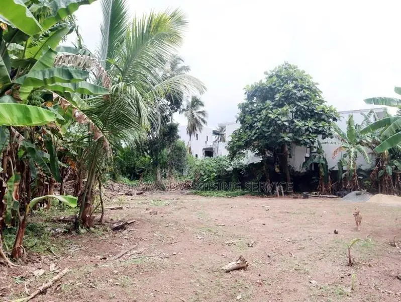 Bokundara Land for Sale in Thumbovila road