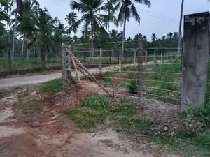 Land for Sale in Negombo