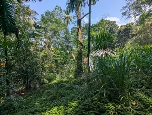 Land for sale in Kandy