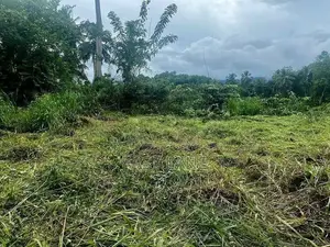 පර්චස් 100 ක අගනා ඉඩමක්