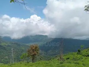 Kabana Land for Sale Nuwara Eliya Road