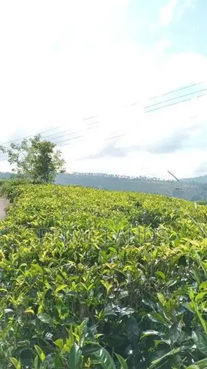 Land for Sale Nuwara Eliya Road