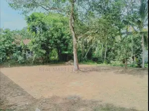 Panadura : 9.6 perches Land for Sale