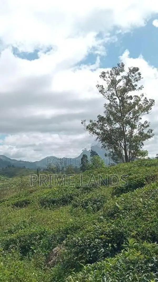 Land for Sale Nuwara Eliya Road, Thalawakalle