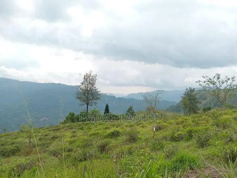 Kabana Land for Sale Nuwara Eliya Road