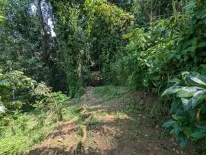 Land for sale in Kandy