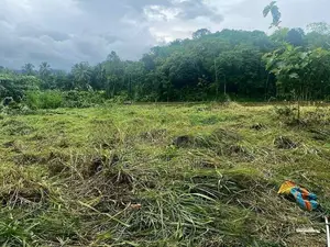 පර්චස් 100 ක අගනා ඉඩමක්