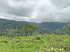 Kabana Land for Sale Nuwara Eliya Road