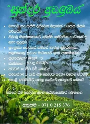 Kabana Land for Sale Nuwara Eliya Road