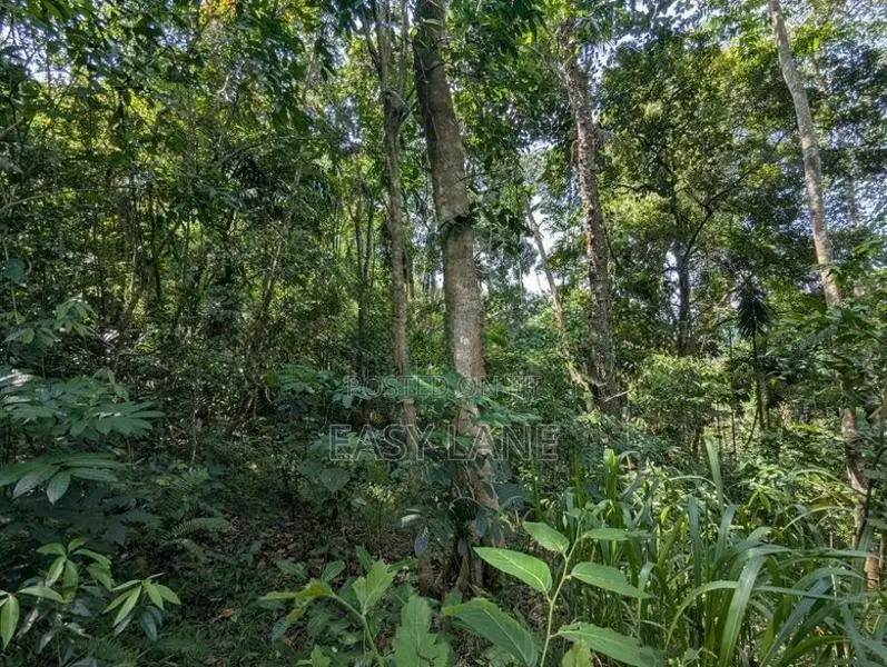 Land for sale in Kandy