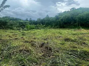 පර්චස් 100 ක අගනා ඉඩමක්
