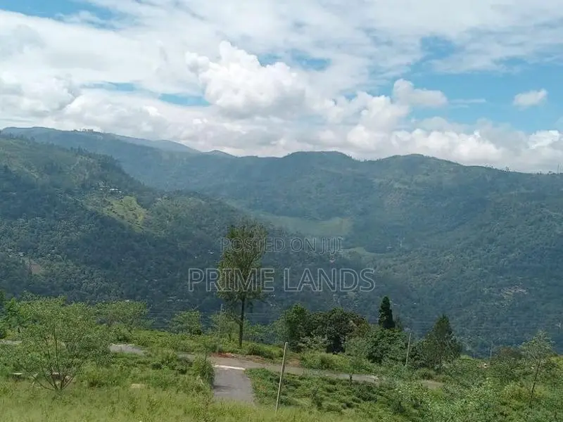 Kabana Land for Sale Nuwara Eliya Road