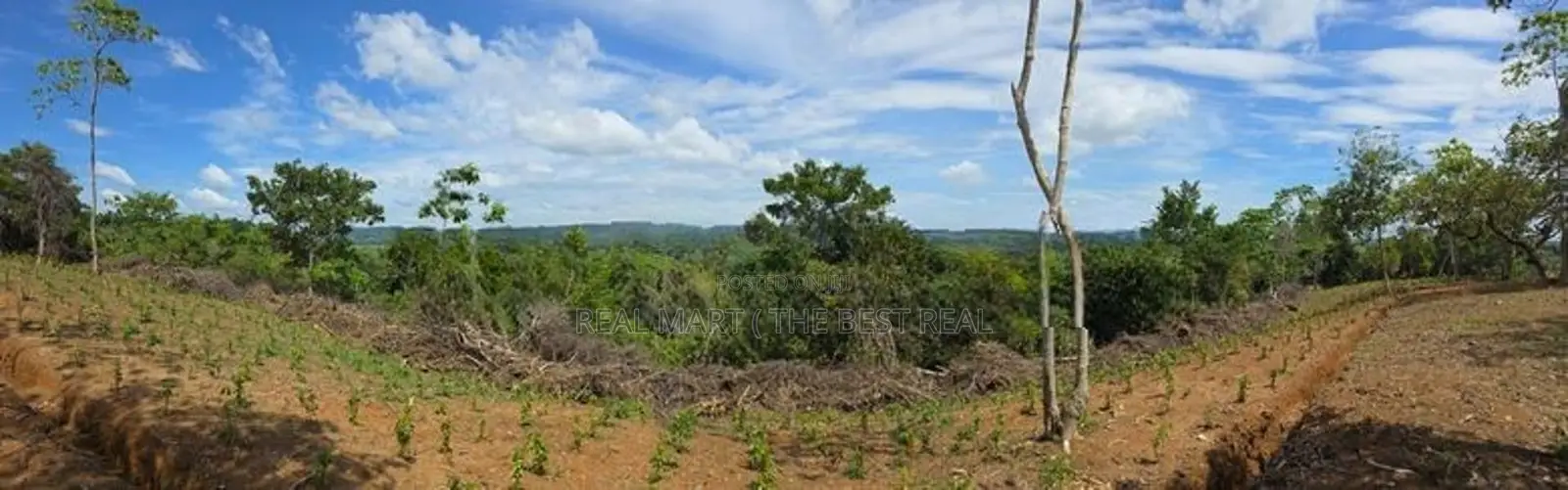 Weligama : 3.67 acres Prime Sea view Development Land for Sale