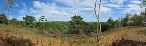 Weligama : 3.67 acres Prime Sea view Development Land for Sale