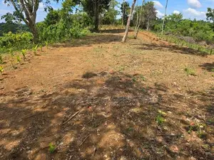 Weligama : 3.67 acres Prime Sea view Development Land for Sale