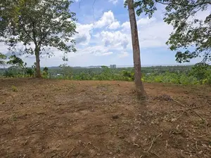 Weligama : 3.67 acres Prime Sea view Development Land for Sale