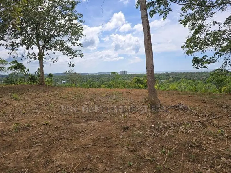 Weligama : 3.67 acres Prime Sea view Development Land for Sale