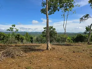 Weligama : 3.67 acres Prime Sea view Development Land for Sale